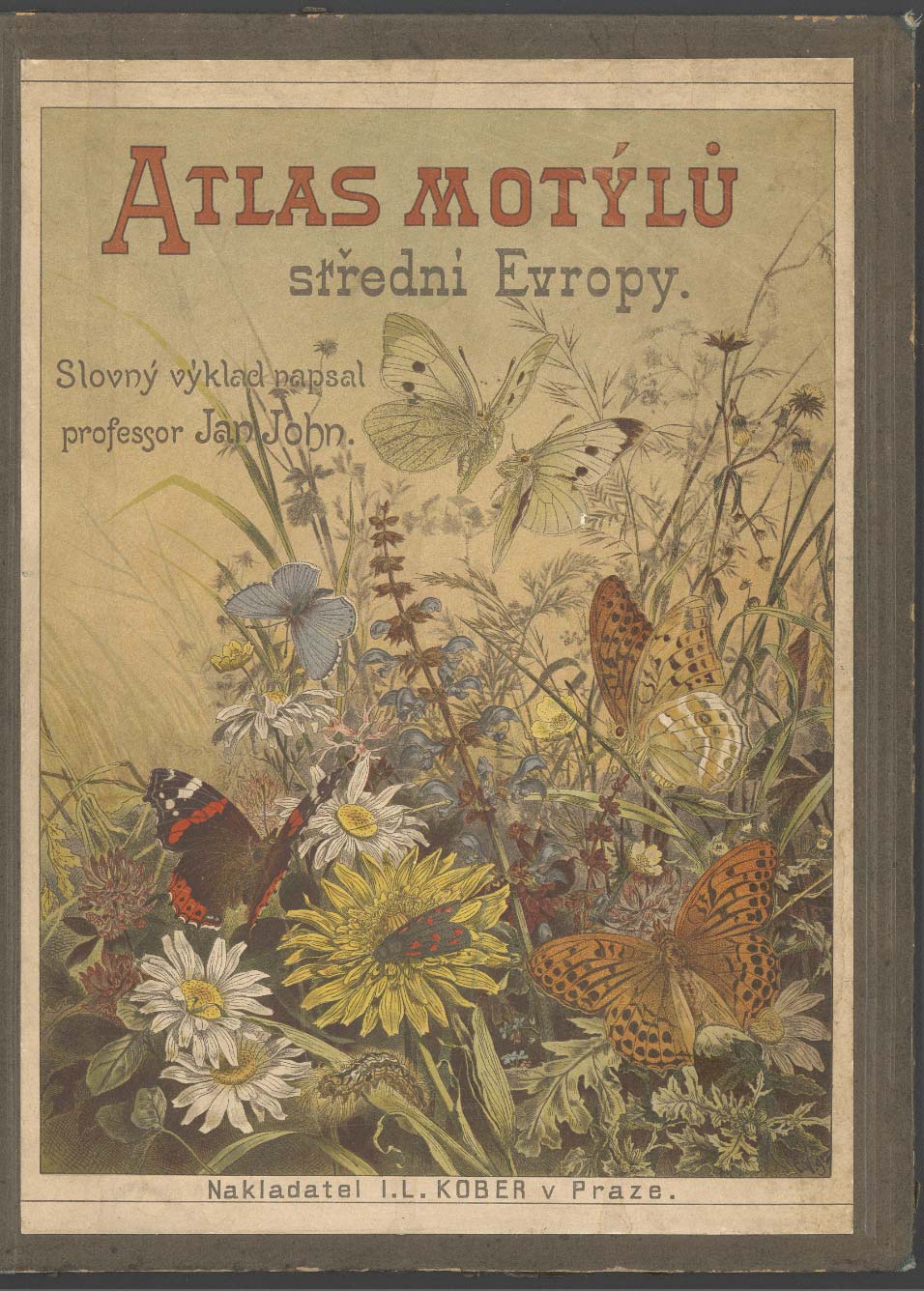 Atlas motýlů střední Evropy